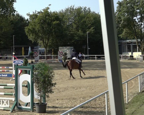 Reitturnier Dinslaken-Hiesfeld 2024