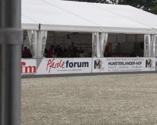 Weser-Ems-Meisterschaften 2013