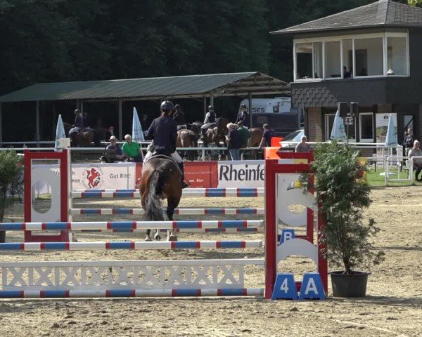 Reitturnier Dinslaken-Hiesfeld 2024