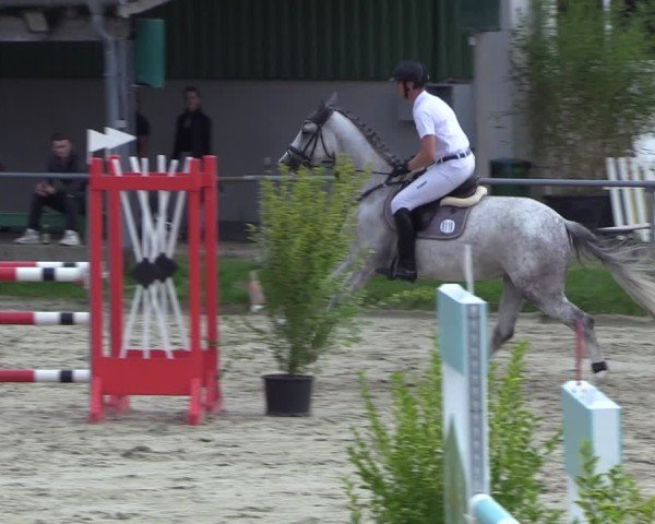 Reitturnier Dortmund-Barop 2024