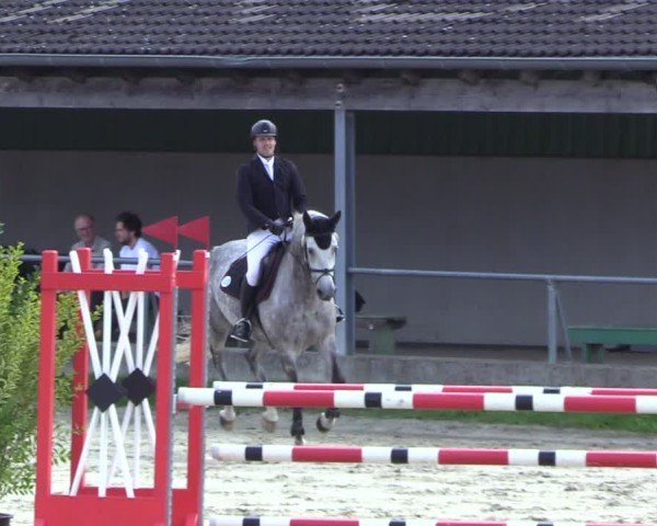Reitturnier Dortmund-Barop 2024