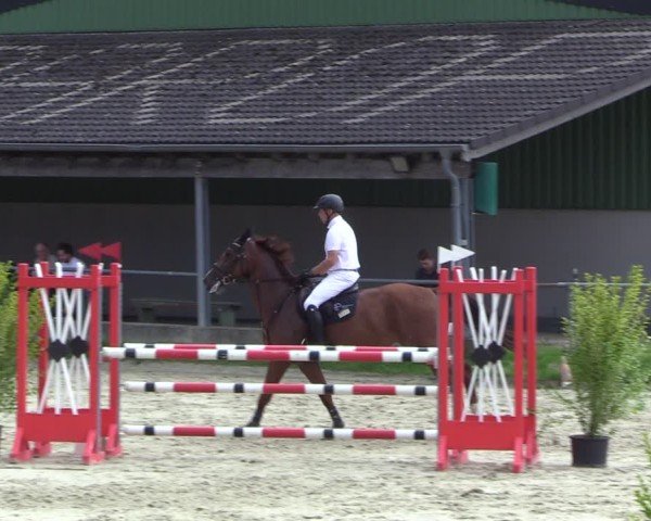Reitturnier Dortmund-Barop 2024