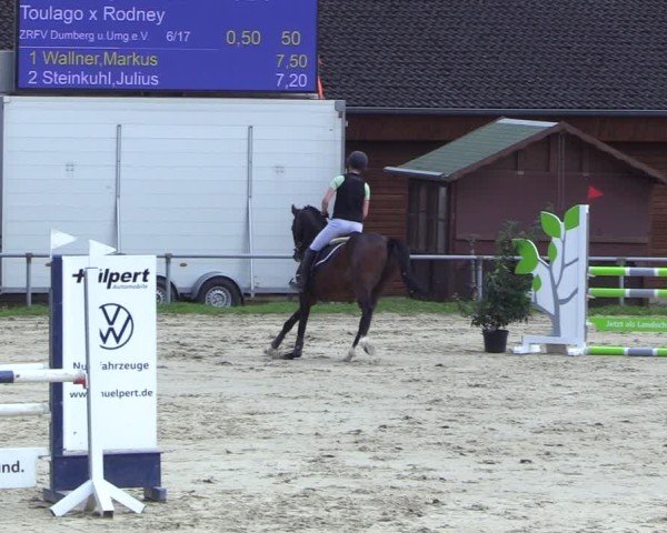 Reitturnier Dortmund-Barop 2024