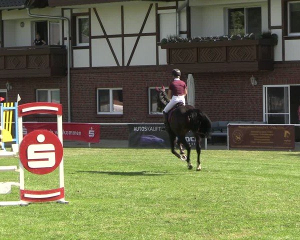 Reitturnier Münchehofe 2024