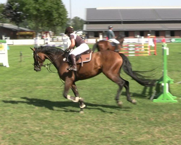 Reitturnier Münchehofe 2024