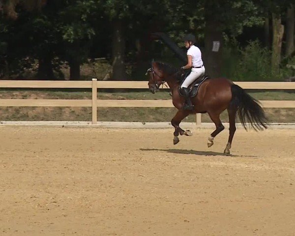 Reitturnier Tiefenhof/Opf. 2024