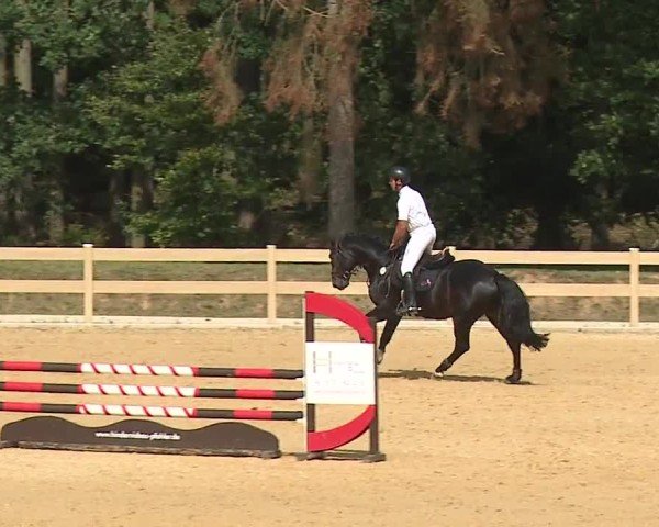Reitturnier Tiefenhof/Opf. 2024