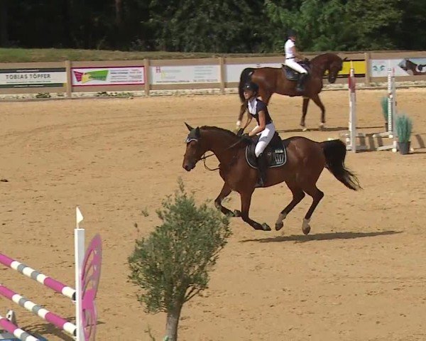 Reitturnier Tiefenhof/Opf. 2024