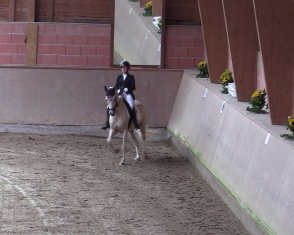 Reitturnier Dortmund-Barop 2024
