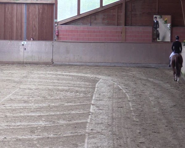 Reitturnier Dortmund-Barop 2024