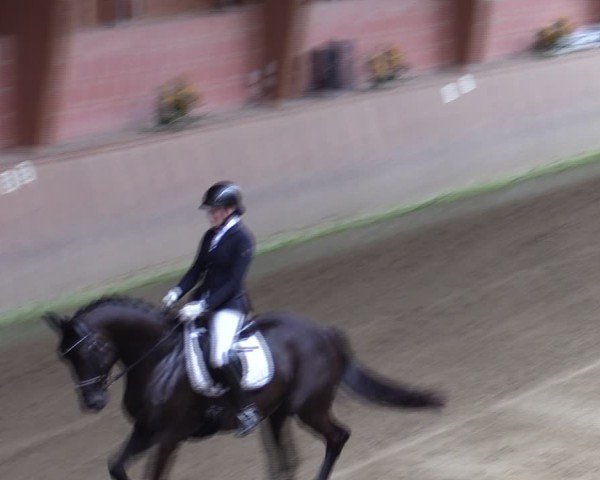 Reitturnier Dortmund-Barop 2024