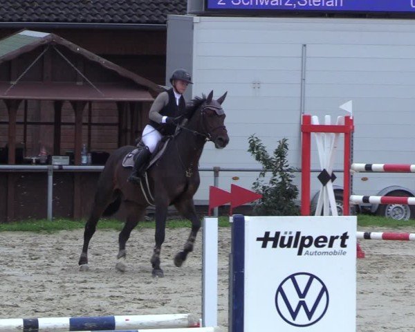 Reitturnier Dortmund-Barop 2024