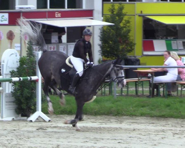 Reitturnier Dortmund-Barop 2024