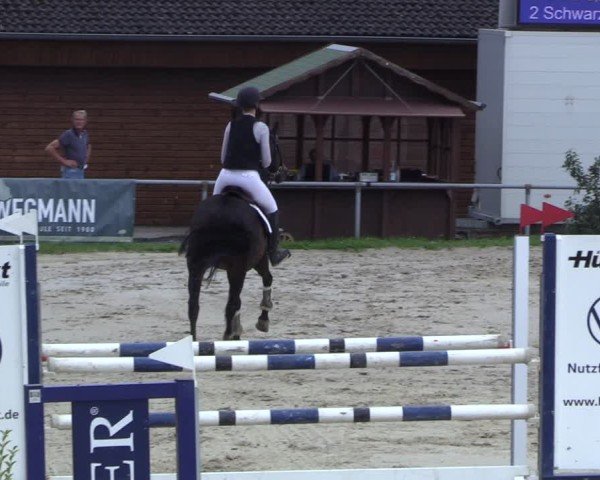 Reitturnier Dortmund-Barop 2024