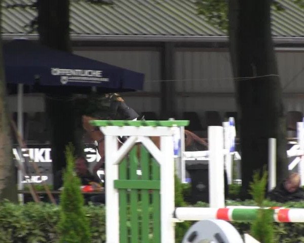 Reitturnier Cloppenburg 2013