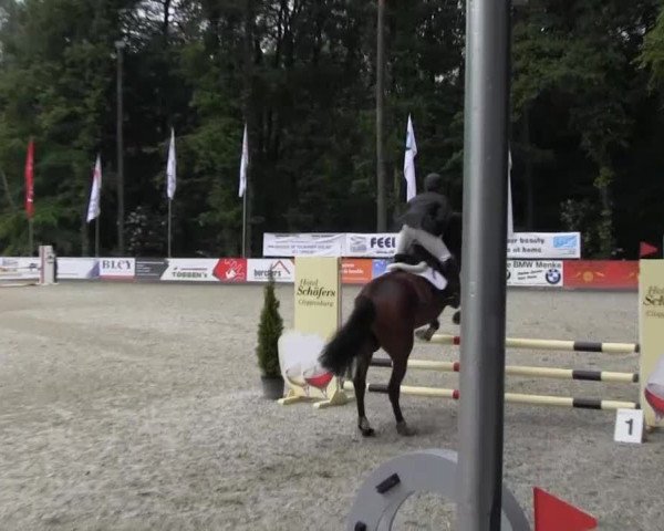 Reitturnier Cloppenburg 2013