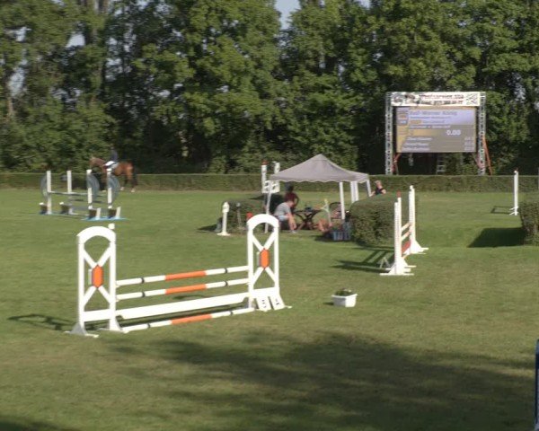 Reitturnier Westeregeln 2024