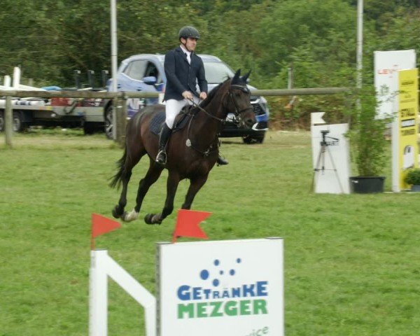 Reitturnier Leonberg 2024