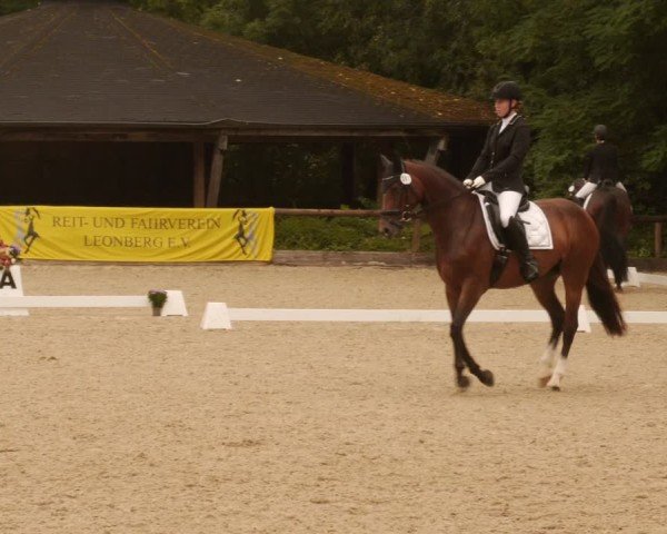 Reitturnier Leonberg 2024