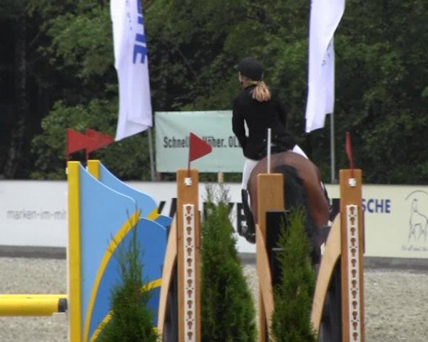 Reitturnier Cloppenburg 2013