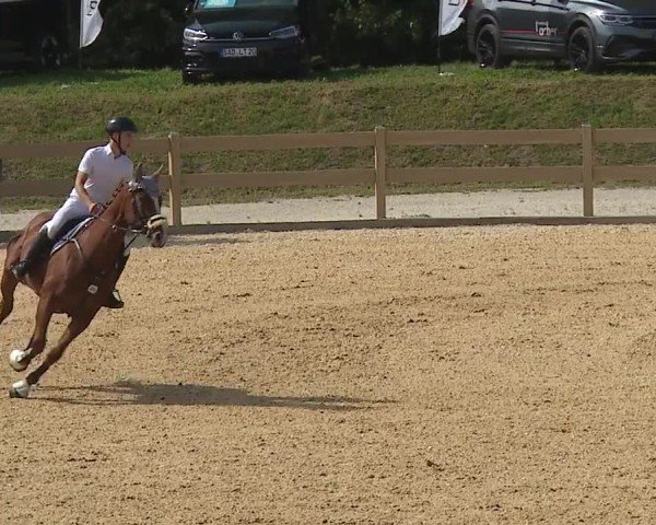 Reitturnier Tiefenhof/Opf. 2024