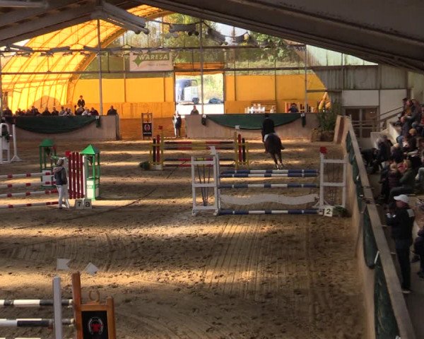Reitturnier Wollersleben 2021