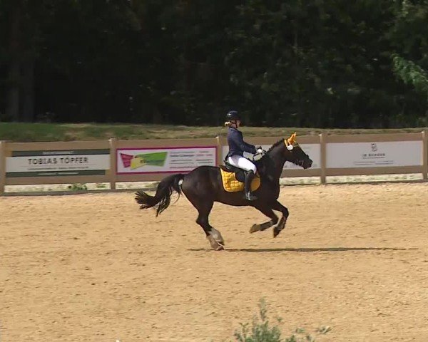Reitturnier Tiefenhof/Opf. 2024