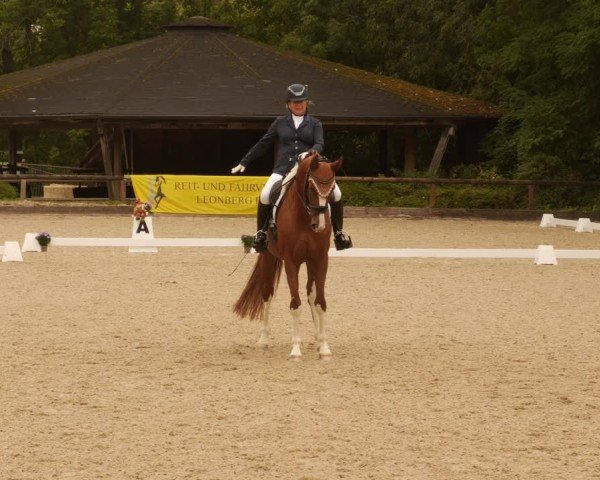 Reitturnier Leonberg 2024