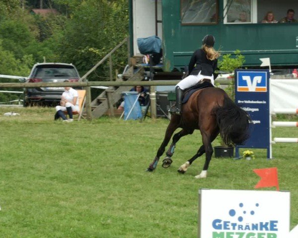 Reitturnier Leonberg 2024