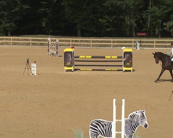 Reitturnier Tiefenhof/Opf. 2024