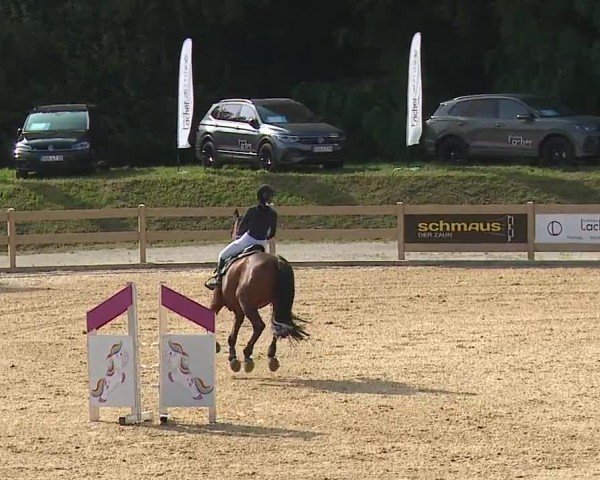 Reitturnier Tiefenhof/Opf. 2024