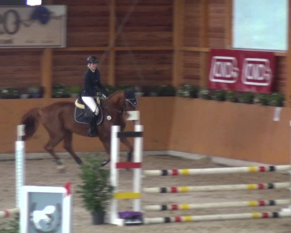 Springturnier Xanten - Reitanlage Miss 2021