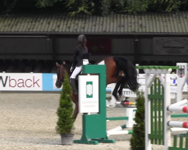 Reitturnier Cloppenburg 2013