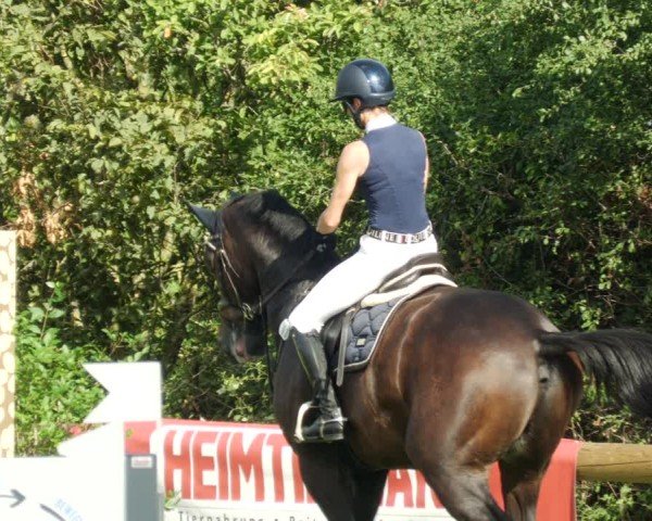 Reitturnier Leonberg 2024