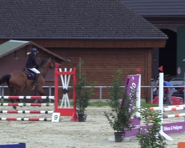 Reitturnier Dortmund-Barop 2024