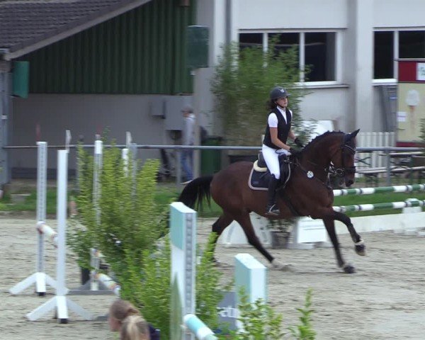 Reitturnier Dortmund-Barop 2024