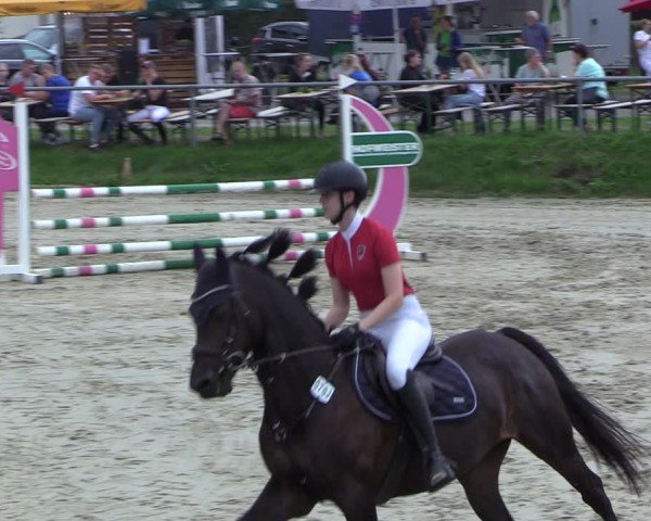 Reitturnier Dortmund-Barop 2024