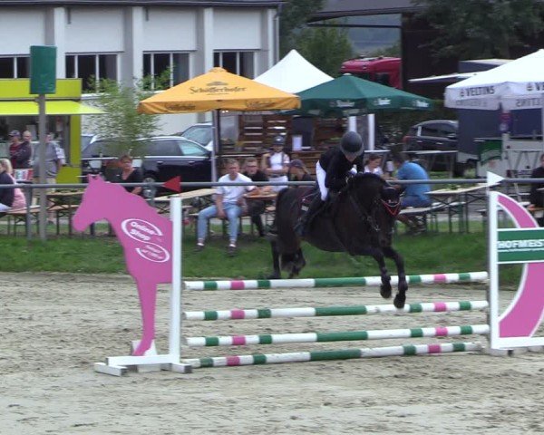Reitturnier Dortmund-Barop 2024