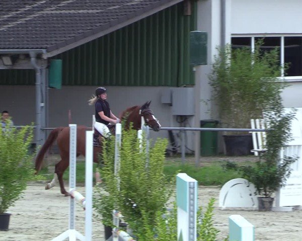 Reitturnier Dortmund-Barop 2024