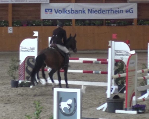 Springturnier Xanten - Reitanlage Miss 2021