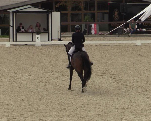 Reitturnier Leichlingen-Witzhelden 2024