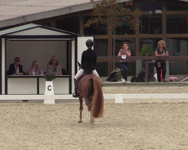 Reitturnier Leichlingen-Witzhelden 2024