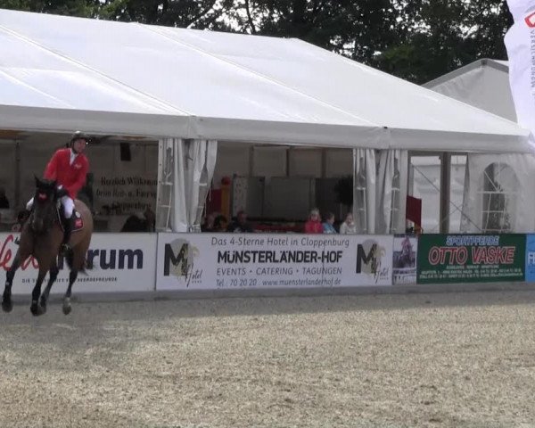 Reitturnier Cloppenburg 2013