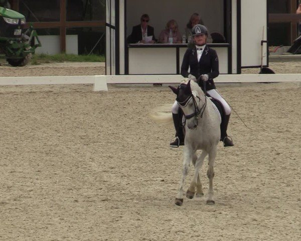 Reitturnier Leichlingen-Witzhelden 2024