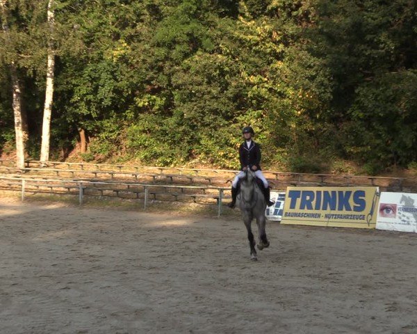 Reitturnier Lgl.-Oberhain, B95 2024