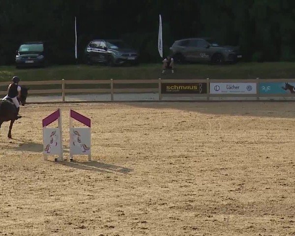 Reitturnier Tiefenhof/Opf. 2024