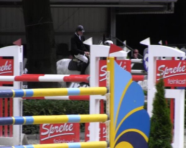 Reitturnier Cloppenburg 2013