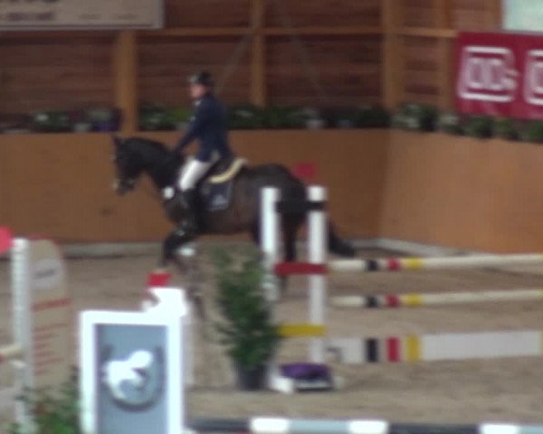 Springturnier Xanten - Reitanlage Miss 2021