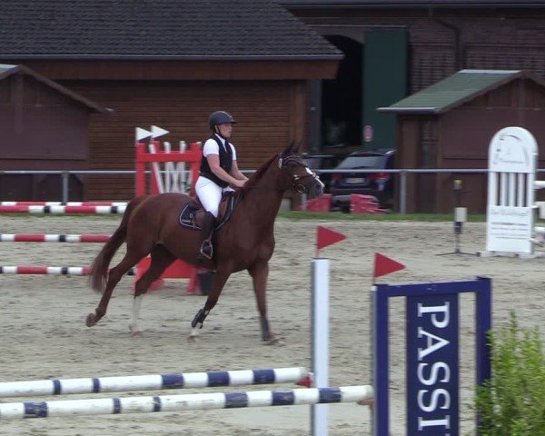 Reitturnier Dortmund-Barop 2024