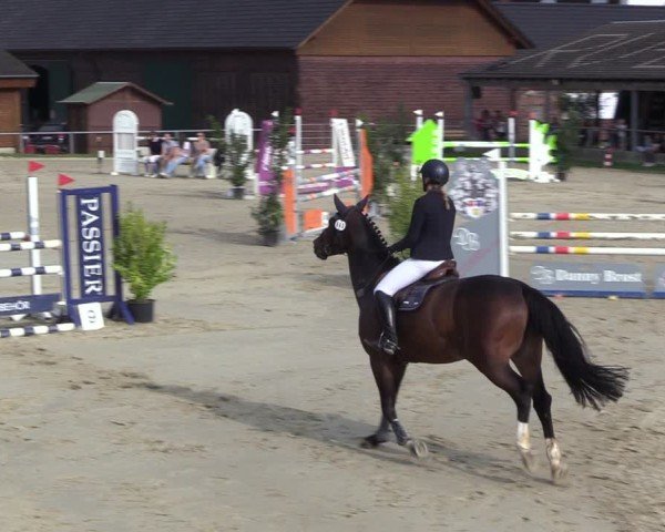 Reitturnier Dortmund-Barop 2024